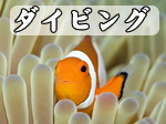 ���I�[�X�g�����A�ό��@�p�[�X�ό��K�C�h�@�U�v�`�g���x���K�C�h�@�p�[�X���